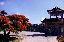 Village In Guangdong, China.